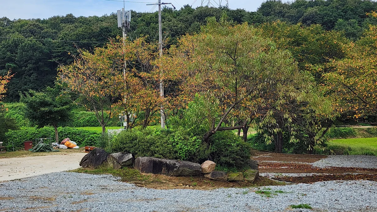 용인반딧불캠핑장
