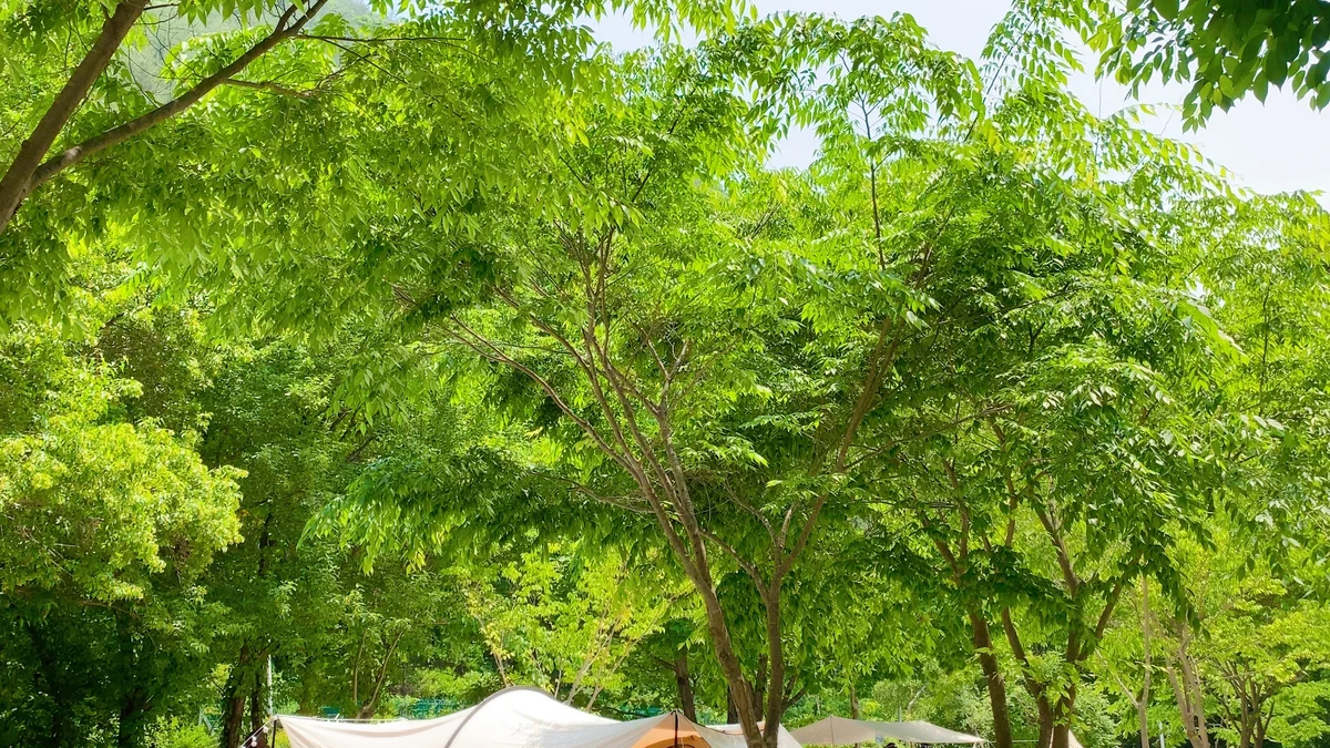 봉화별캠핑장
