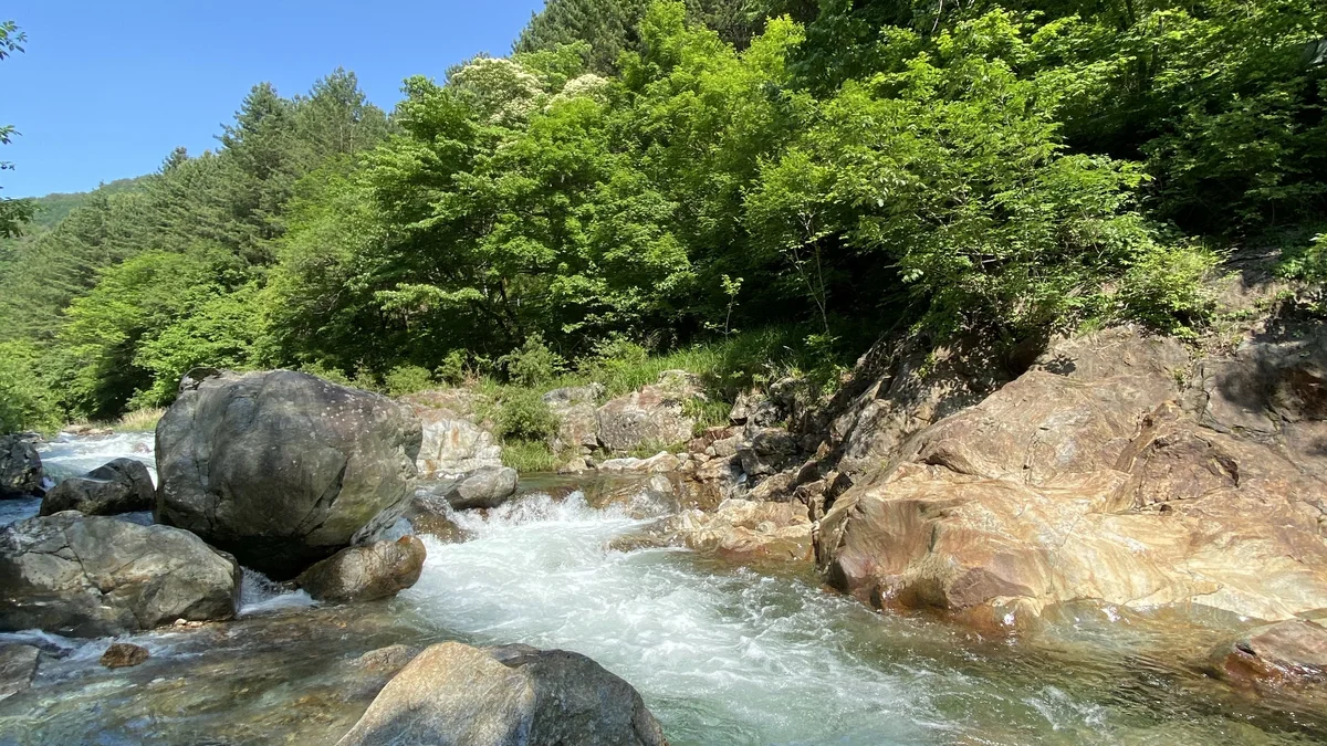 봉화별캠핑장