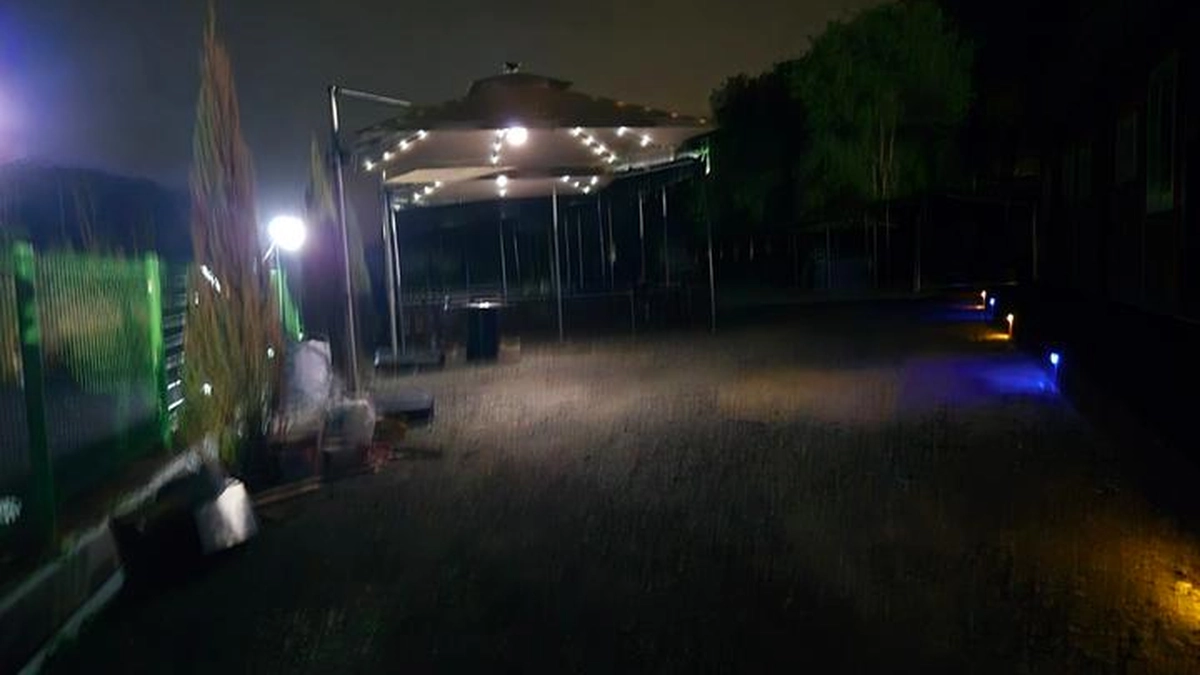 “5,000평 캠핑장이 반려동물 천국이라고?”… 충북 음성에서 자연과 함께하는 특별한 여행지