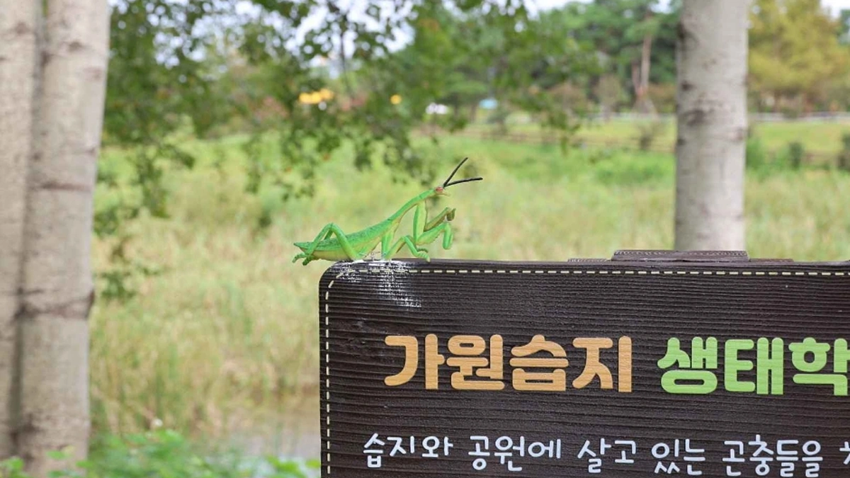 가원습지 생태자연공원