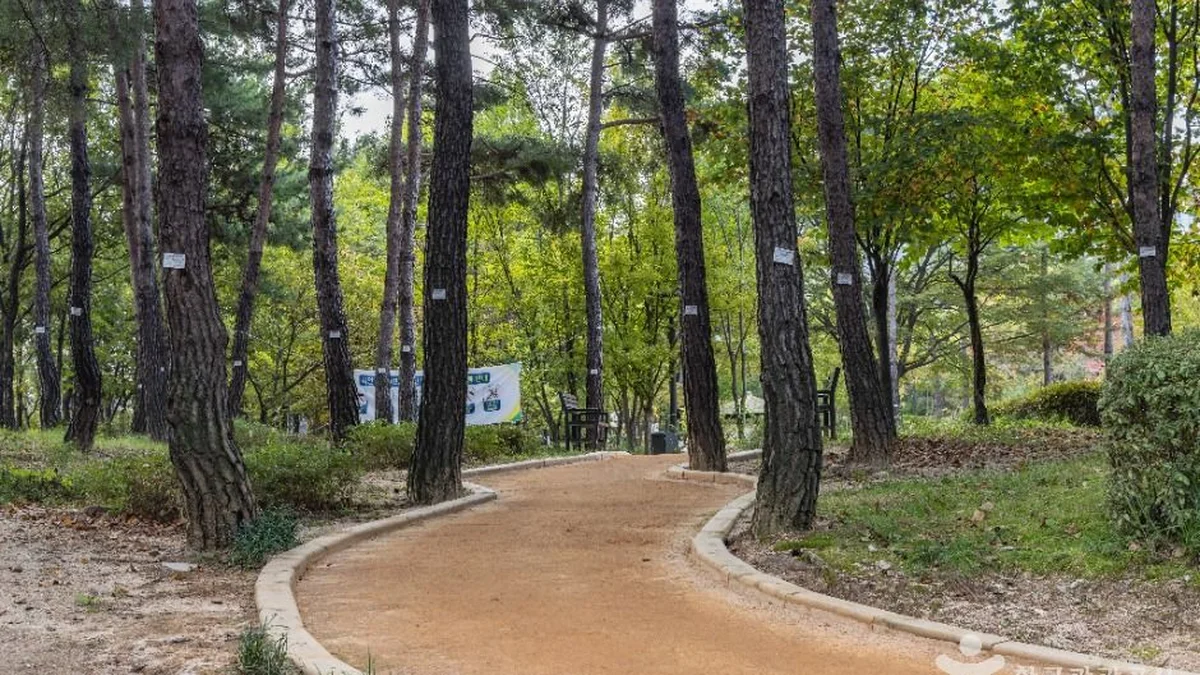 “10만 ㎡에 이런 평화가 다 있나?”… 도심 속 힐링 가득한 서울창포원 공원