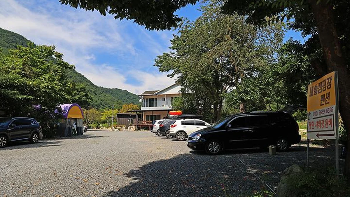“하늘에 별이 100개는 넘게 보였다니까?”… 10,000㎡ 대자연 속 새솔캠핑장 명소