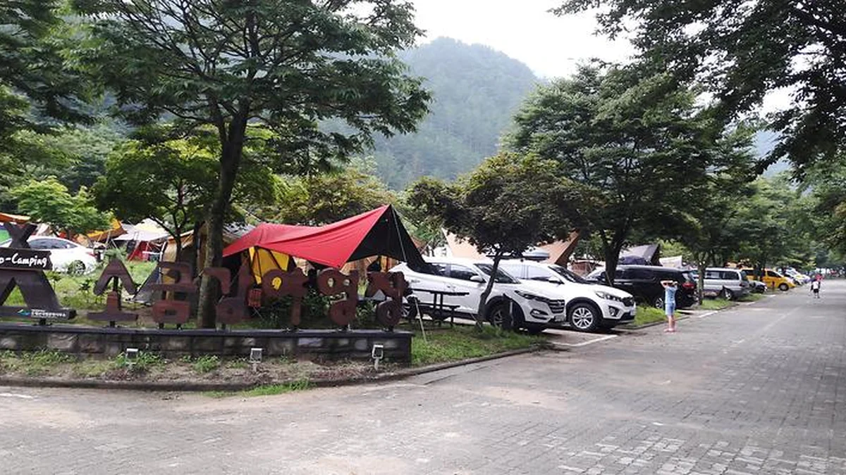 “200개 캠핑 사이트가 있어 진짜 놀랐어요”… 자연과 하나 되는 강릉 소금강자동차야영장 명소