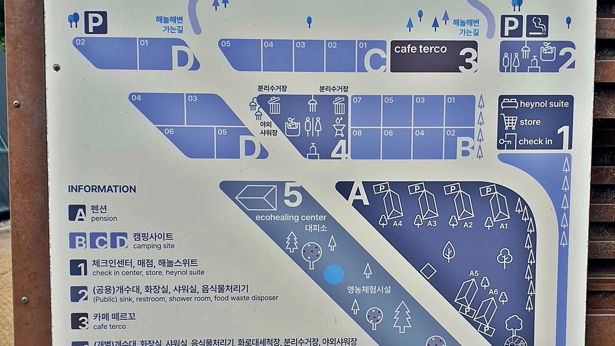 캠프 해놀