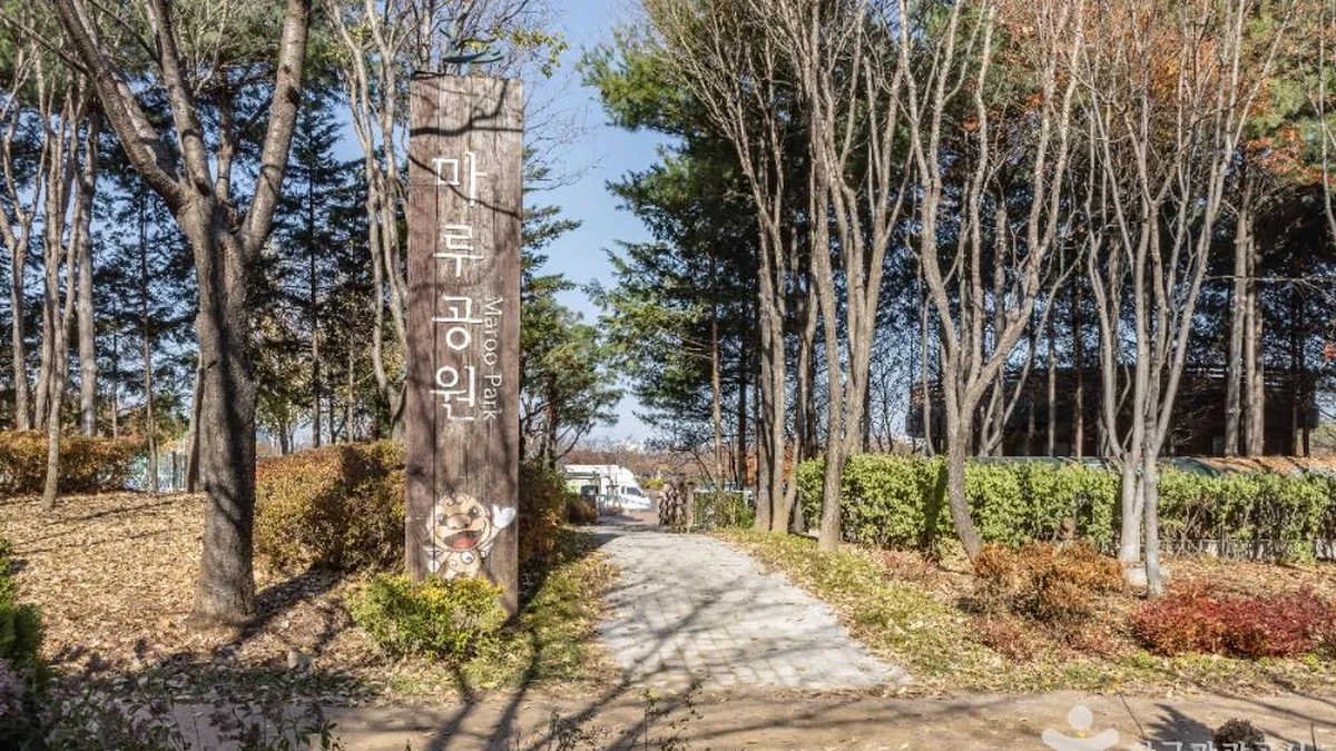“도심 속 이렇게 넓은 공간이 있다고?”… 50,000㎡ 규모의 자연 품은 서울 마루공원