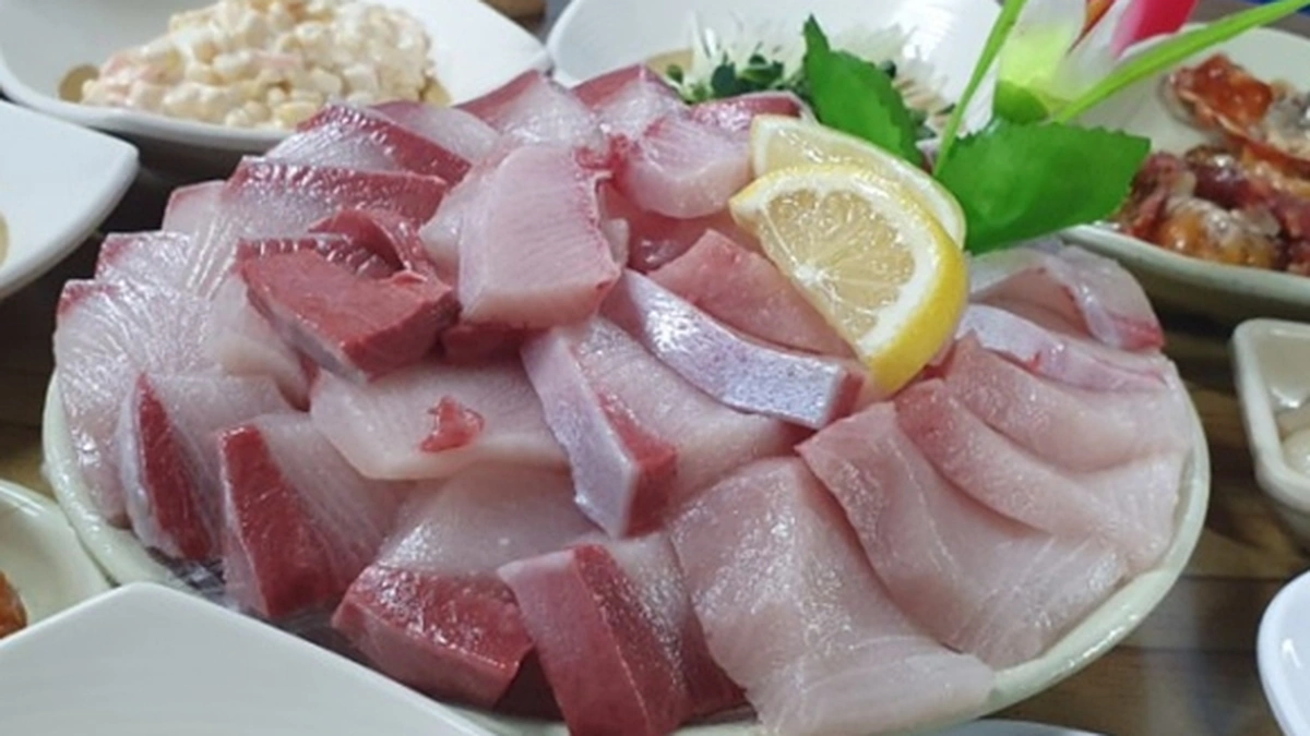 “250㎡에 이렇게 많은 해산물이!”… 신선한 미각 경험 여행지