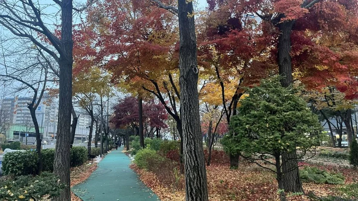 “50% 할인된 입장료라니, 진짜?”… 서울 도심 속 자연의 숨결 구로거리공원