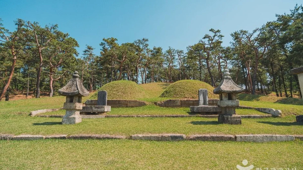 “서울 한복판에 이런 곳이?”… 강남 속 고요한 역사 산책 명소