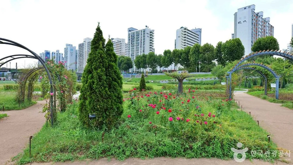 “서울 한복판에 이런 곳이 있다니!”… 약 10만 평 자연 속 산책 명소