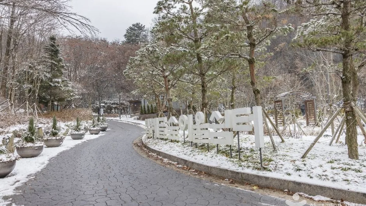 “서울에 이런 곳이 있다고?”… 총 3.2㎢로 도심 속 자연 힐링 여행지
