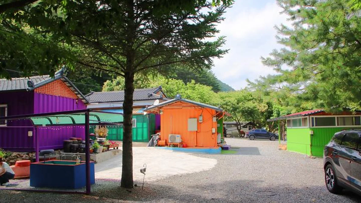 “밤하늘 별을 이렇게 가까이서 보다니!”… 별빛 가득한 자연 캠핑 여행지