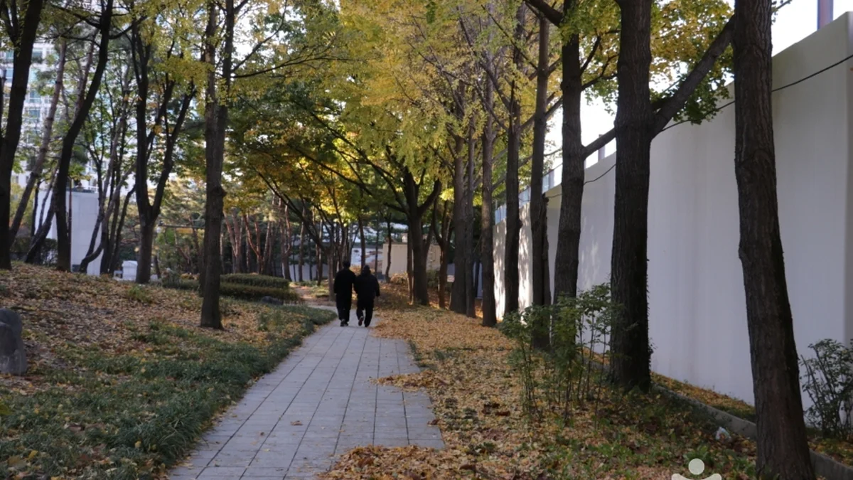 “이렇게 도심 속에서 이런 자연을 만끽할 수 있다니?”… 4계절 내내 새로운 매력 발산하는 훈련원공원