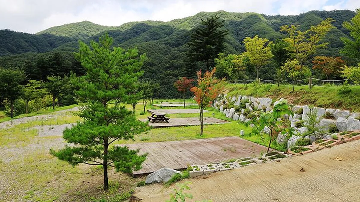 “나무 사이로 불어오는 바람이 기분 좋게 불어와요”… 넓게 펼쳐진 팔현계곡 맨 끝 언덕의 해자연캠핑장 명소