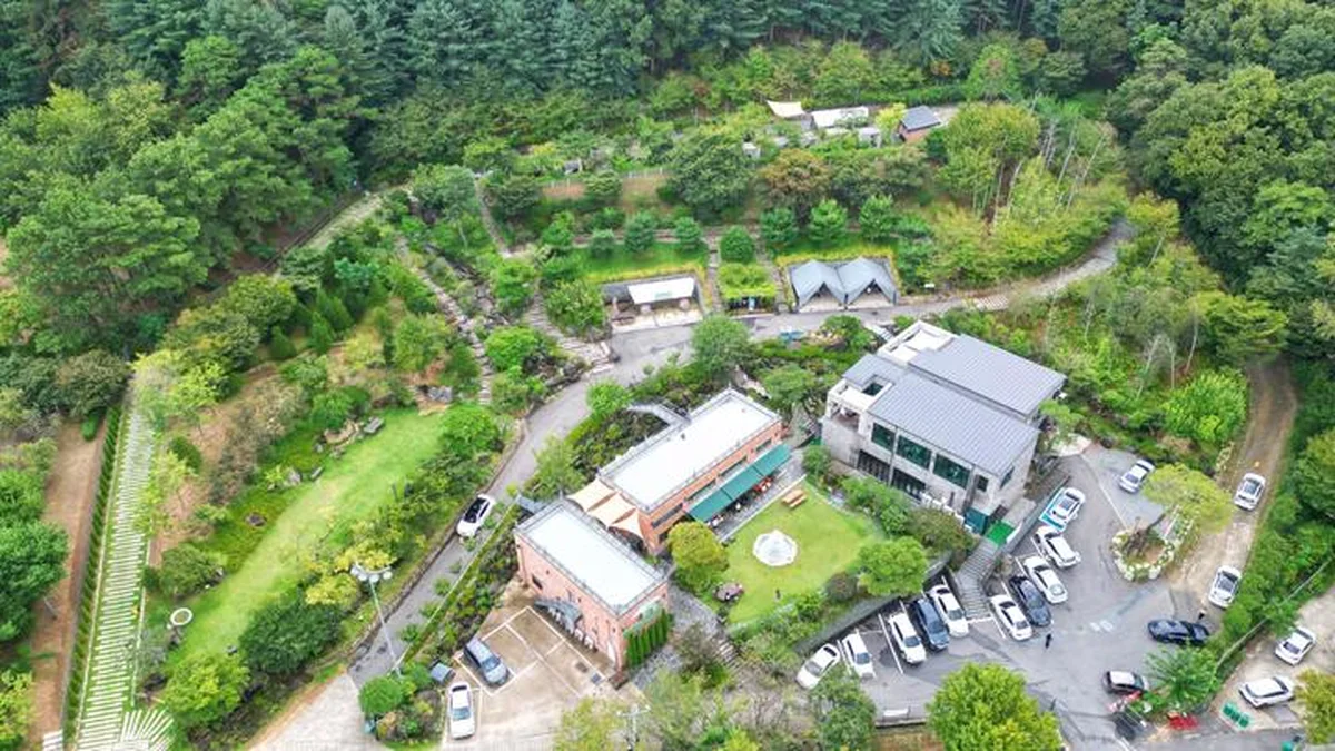 “3,000㎡에 제주 감성이 그대로 다니!”… 대전의 특별한 캠핑 명소