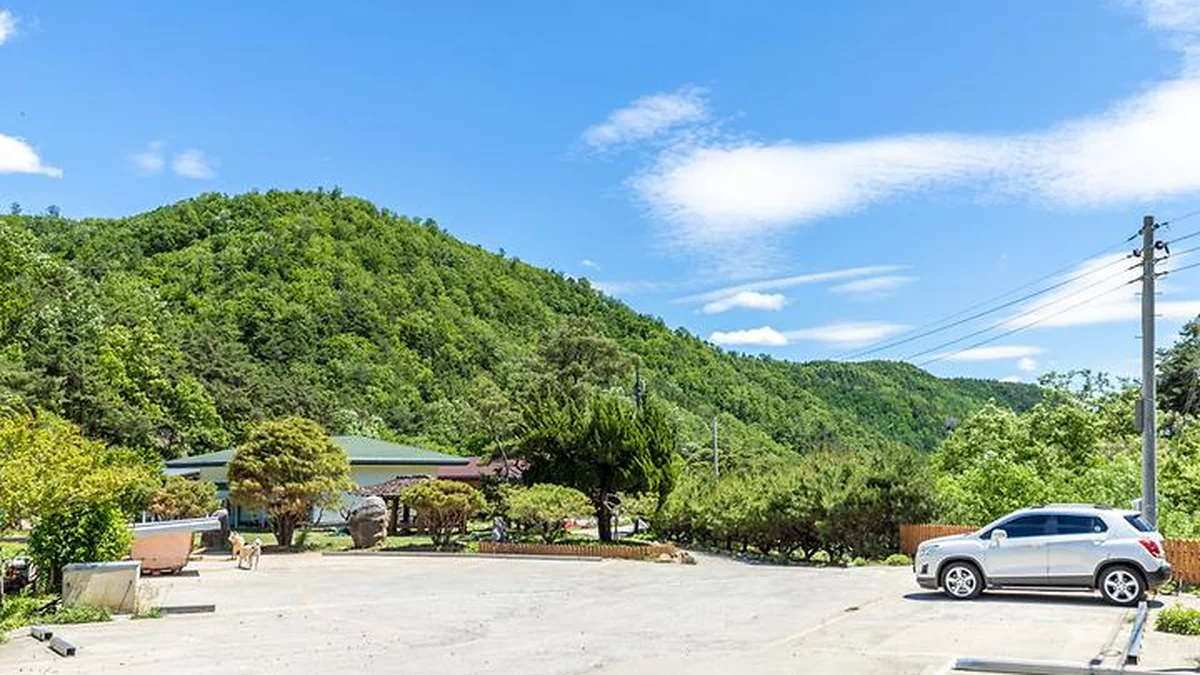 “서울에서 230km, 이런 곳이 있을 줄이야”… 5만㎡ 자연으로 채워진 어린이 천국 여행지