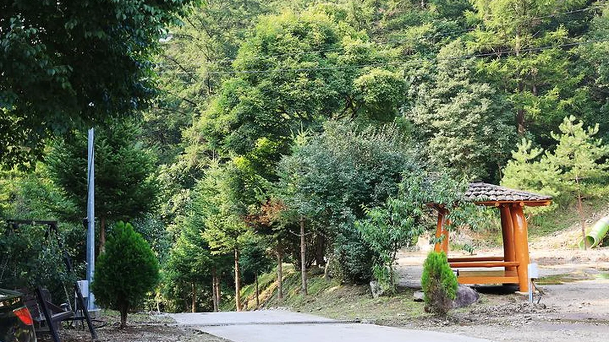 “10,000㎡ 속에 이런 캠핑장이?”… 자연과 어우러진 인생샷 명소
