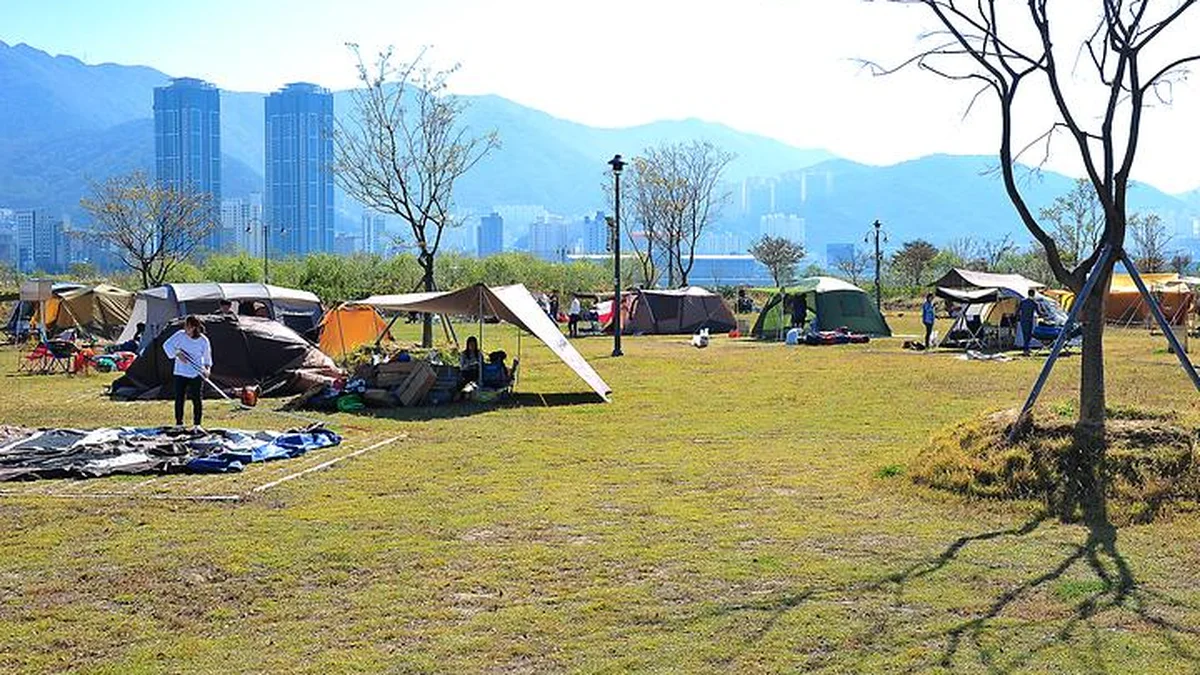 “부산 도심에서 이렇게 넓은 캠핑장을?”… 강변 따라 펼쳐진 부산 대저생태공원캠핑장