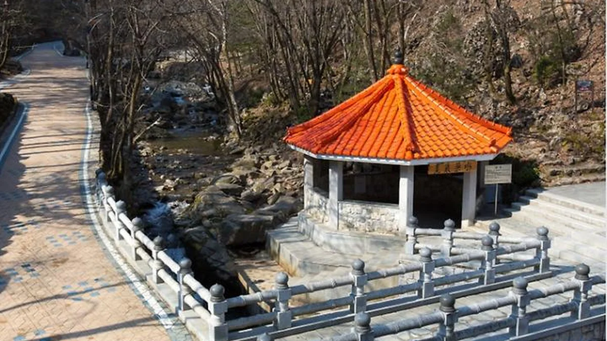 “해발 700m 자연 속 힐링이라니”… 약 1만㎡의 강원도 캠핑 여행지