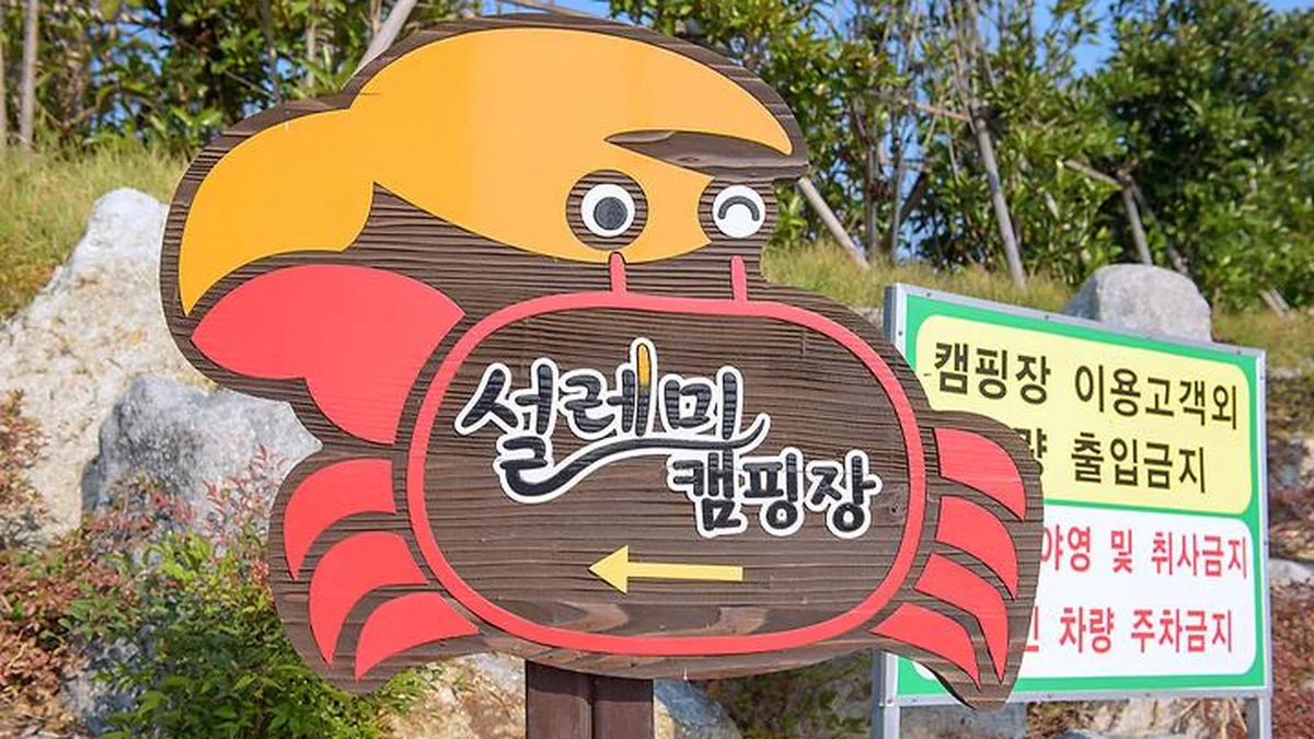 “5,000평 규모가 이렇게 넓다니…” 자연의 숨결 가득한 힐링 여행지