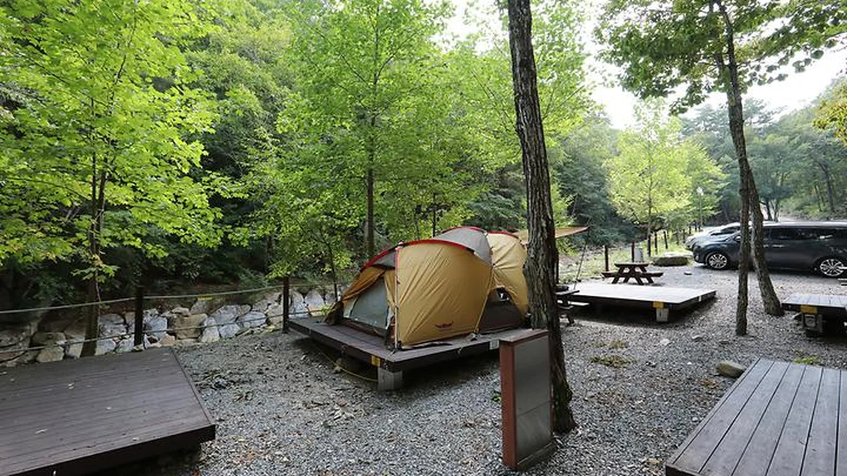 “10km 들어가면 이런 곳이?”… 맑은 계곡물과 숲의 조화로운 힐링 명소
