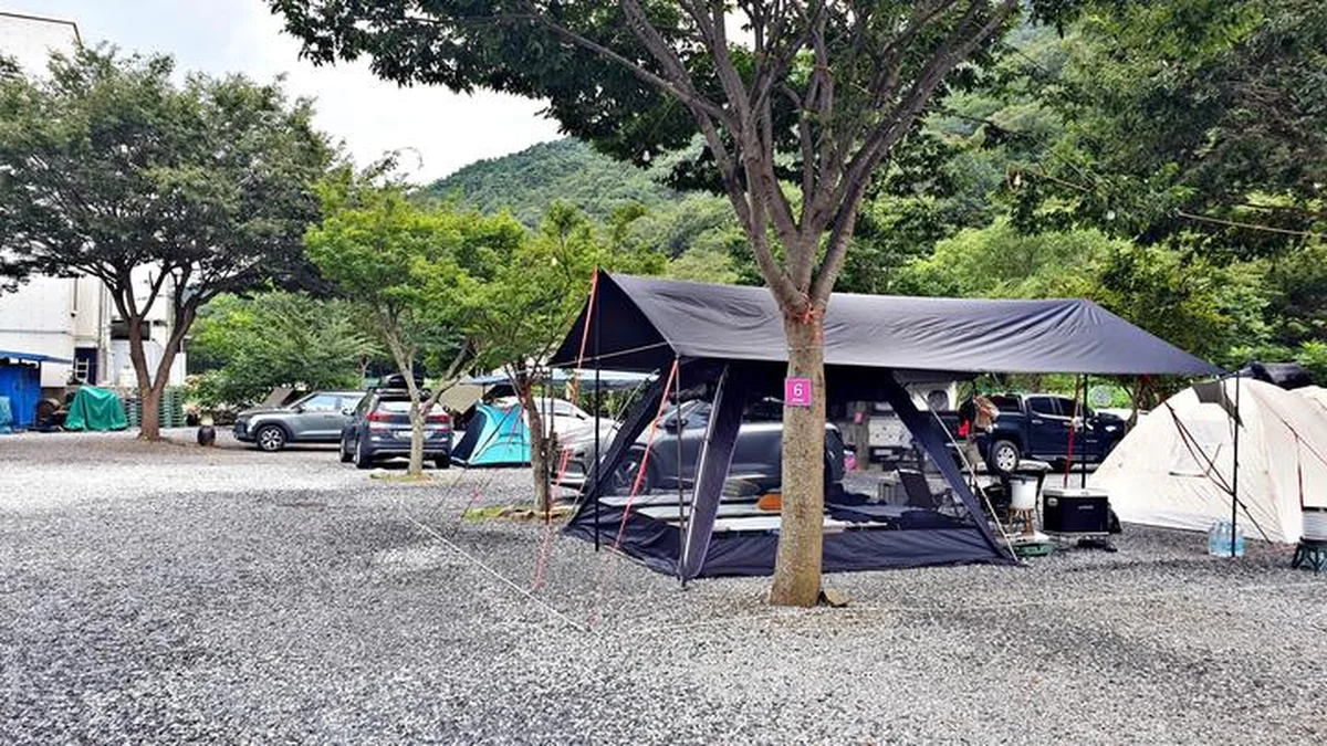 “서울에서 2시간만 가면 이렇게 멋지다니?”… 솔밭캠프 힐링 명소