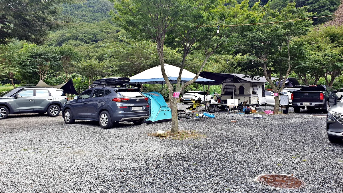 솔밭캠프