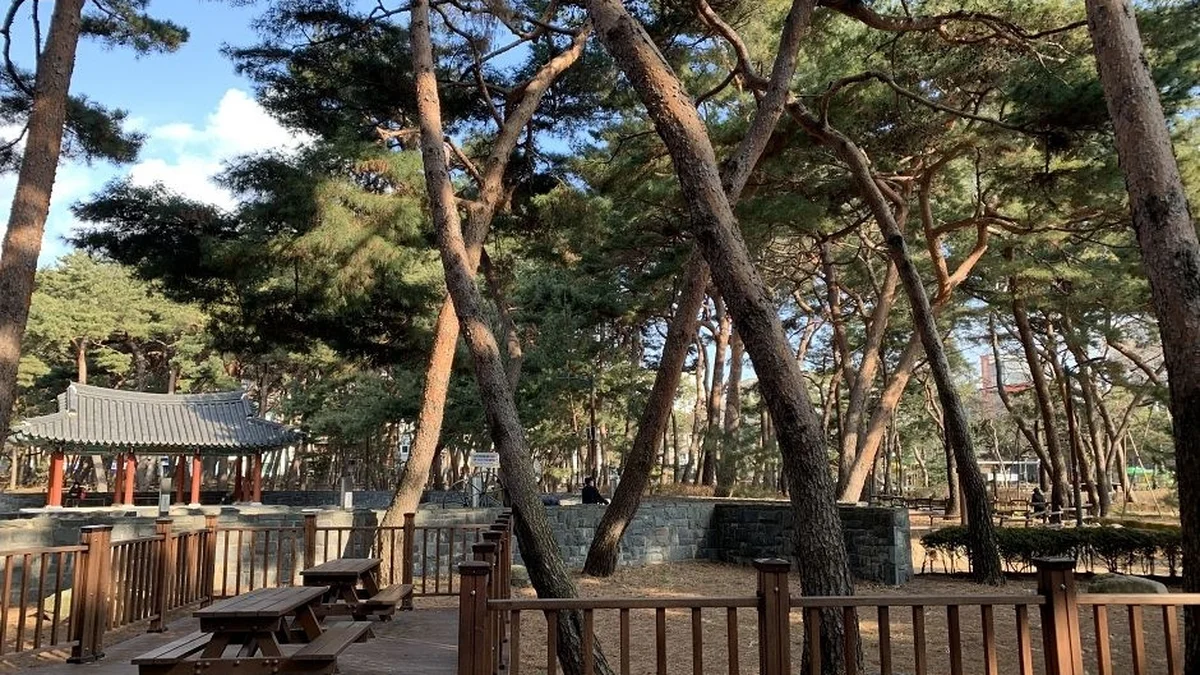 “10만㎡가 전부 자연 그대로라니?”… 서울 도심 속 숨은 명소, 솔밭근린공원