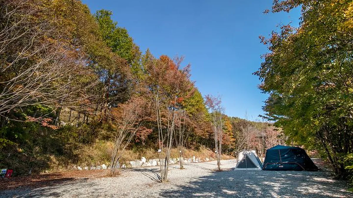 “도심에서 단 1시간 거리라니?”… 산소 가득한 자연의 고요한 여행지
