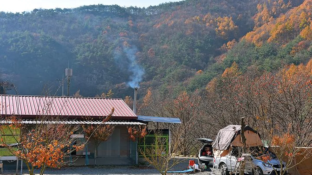 경북 문경에서 진짜 자연을 만난다니… 30,000㎡ 대규모 힐링 여행지