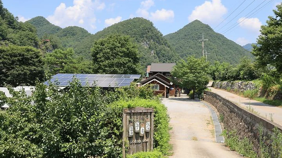 “진짜 물안개 속 카라반 캠핑이라니?”… 영월 동강가 현대식 힐링 여행지