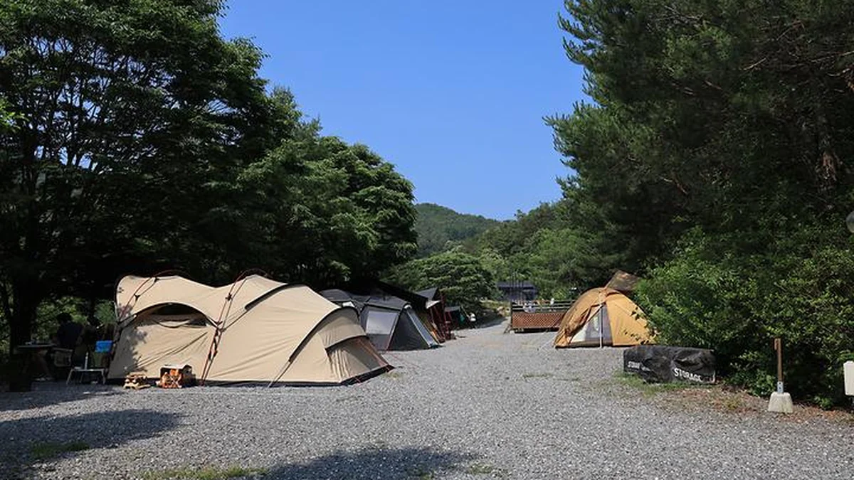 “밤하늘 별빛이 쏟아진다니?”… 숲과 강변의 진짜 힐링 명소 월드니스 오토캠핑장