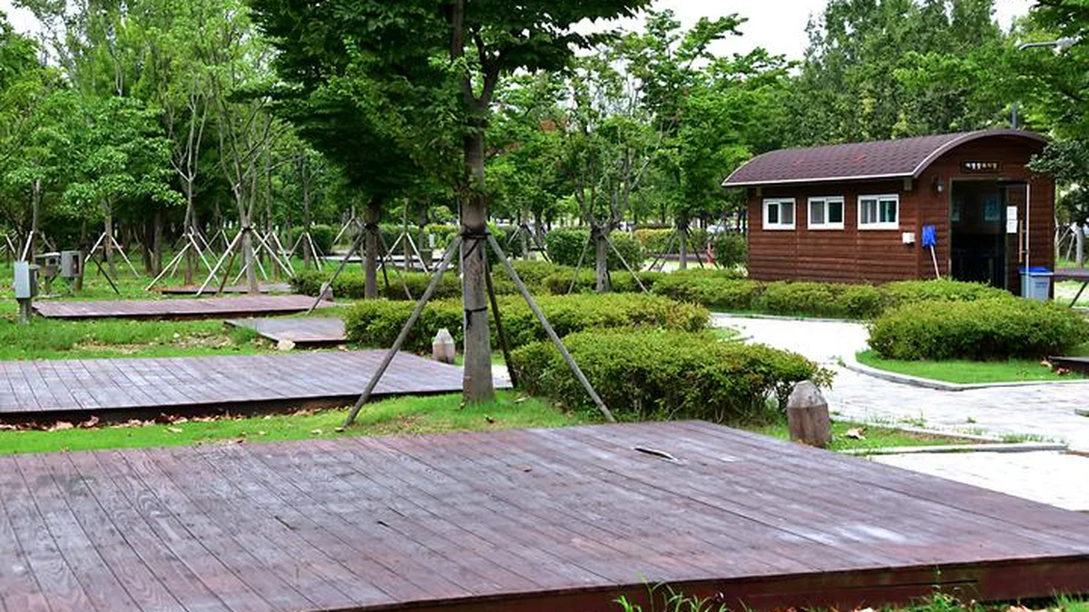 “도심에 이런 비밀이? 반려동물과 함께라니!”… 20,000㎡ 자연이 숨쉬는 광주시민의 숲 야영장