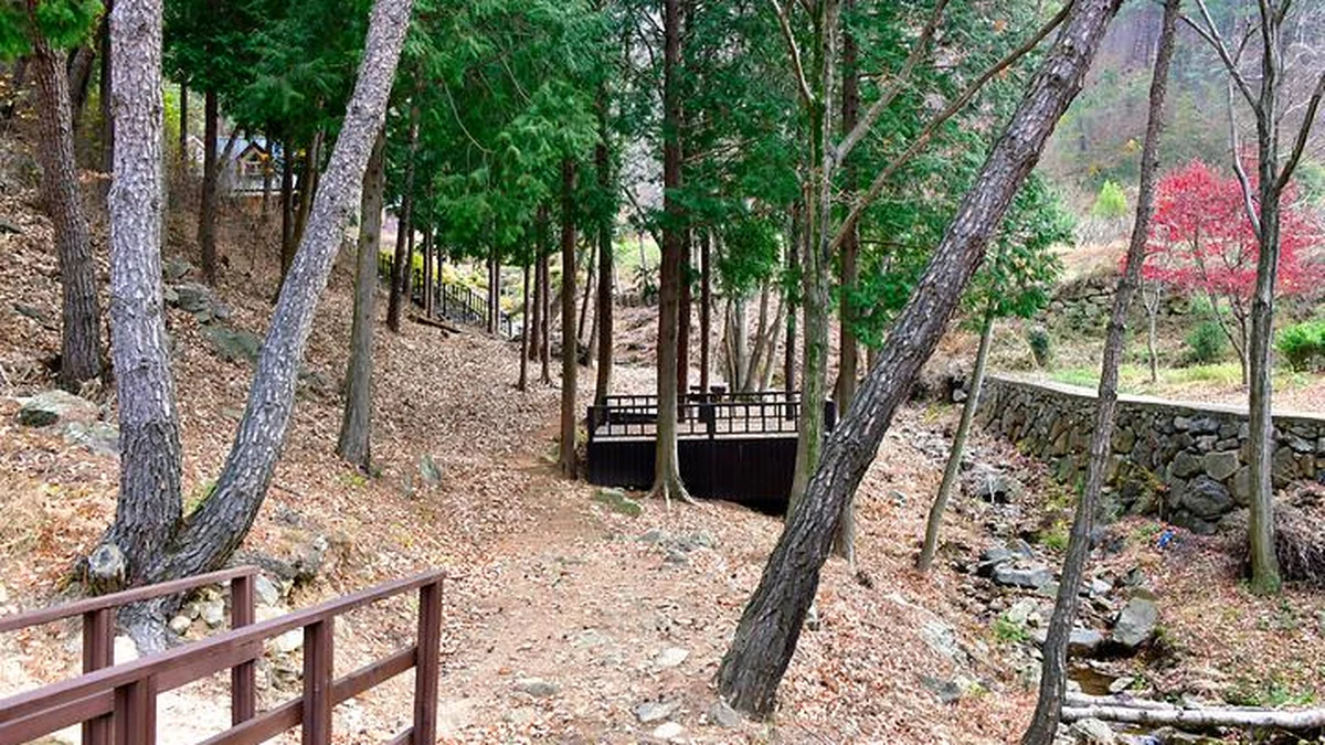 “순천에 이렇게 넓은 50,000㎡ 캠핑장이?”… 자연과 어우러진 무장애 명소