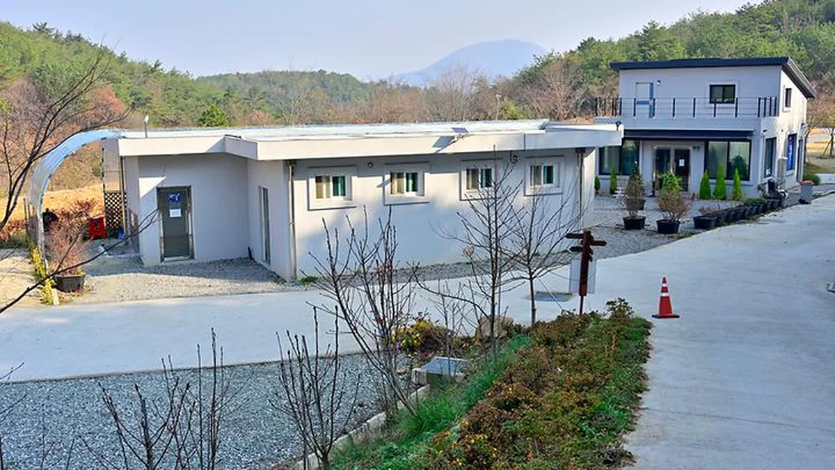 “여기가 진짜 5만 평 자연의 요새라니…” 전남광주 함평 숨은 캠핑 명소