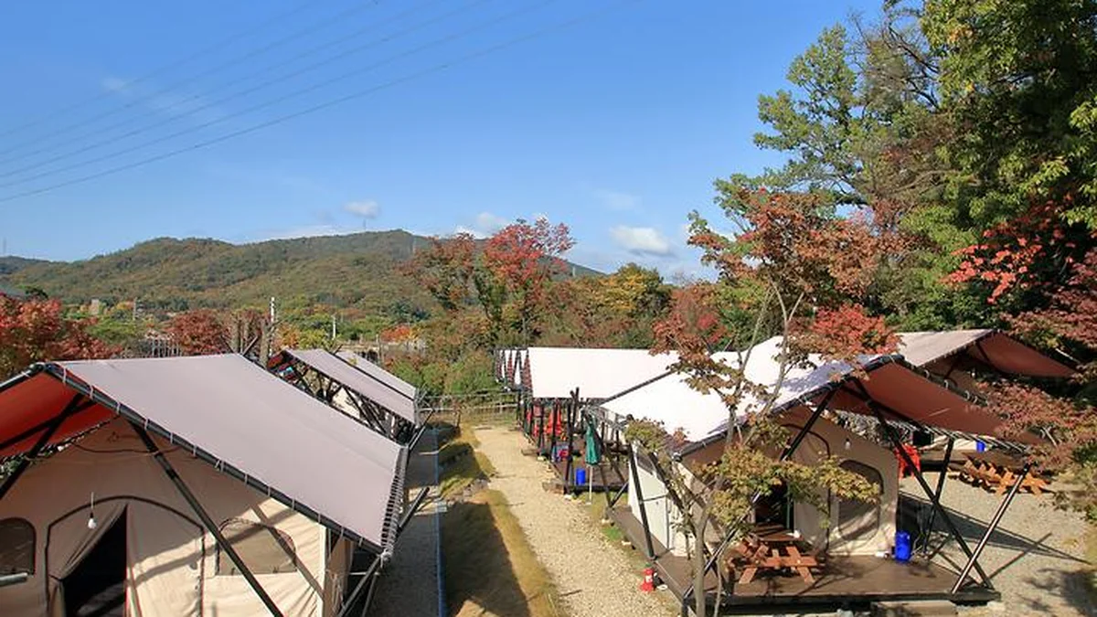 “서울 한복판에 이런 자연이?”… 10,000㎡ 드넓은 잔디밭 글램핑 명소