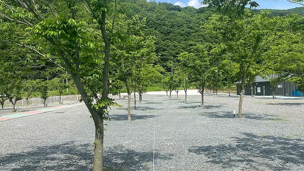 “30,000㎡ 캠핑장에 밤하늘 별들이 라니?”… 경주에서 자연 만끽하는 여행지