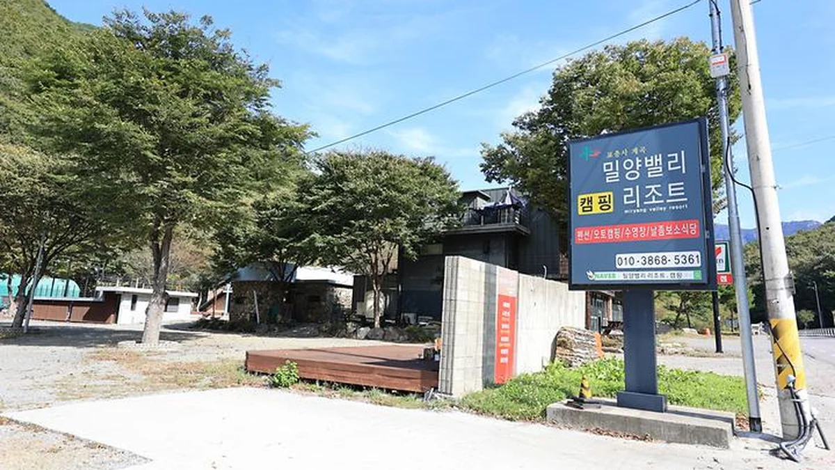 “50대 주차 공간이 이렇게 여유롭다니…” 자연과 어우러진 캠핑 경험 명소