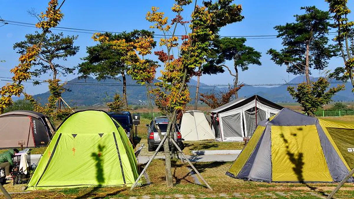 “10,000㎡ 규모라니, 이렇게 넓은 캠핑장이?”… 가족끼리 즐기는 자연 속 명소