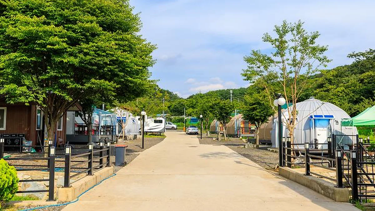 “카라반 20대, 진짜 하늘 아래 별 같아요”… 자연과 하나 되는 캠핑 명소