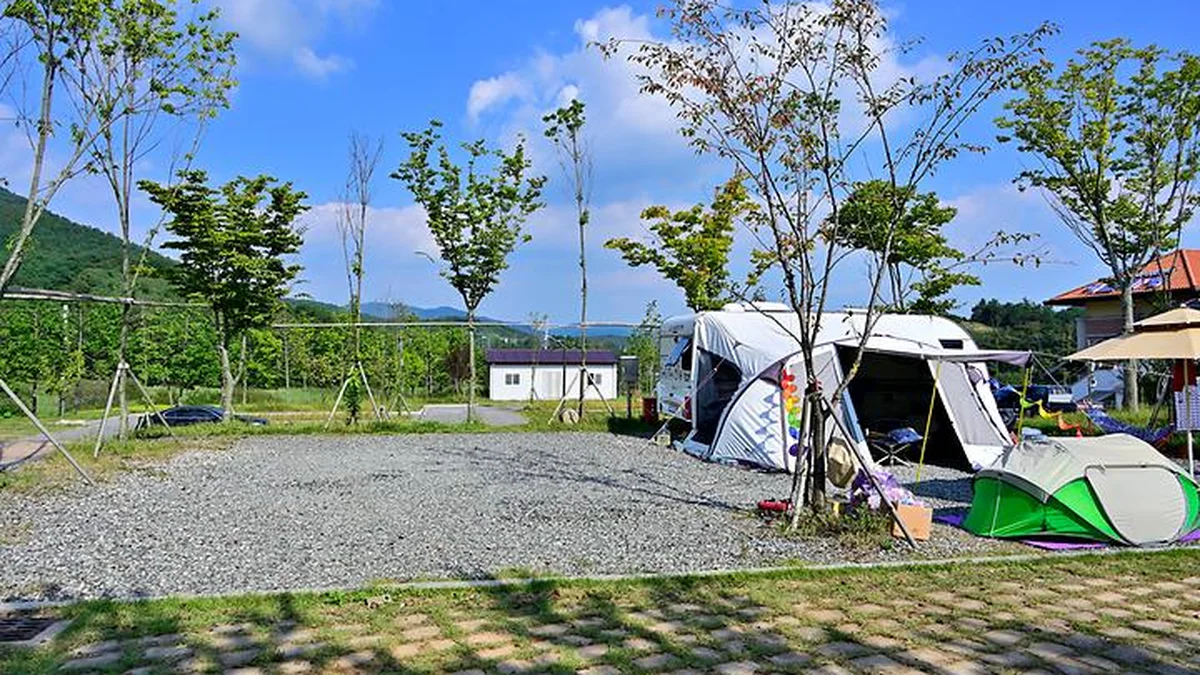 “보성강과 함께할 수 있다니!”… 울창한 숲과 맑은 공기 속 힐링 명소