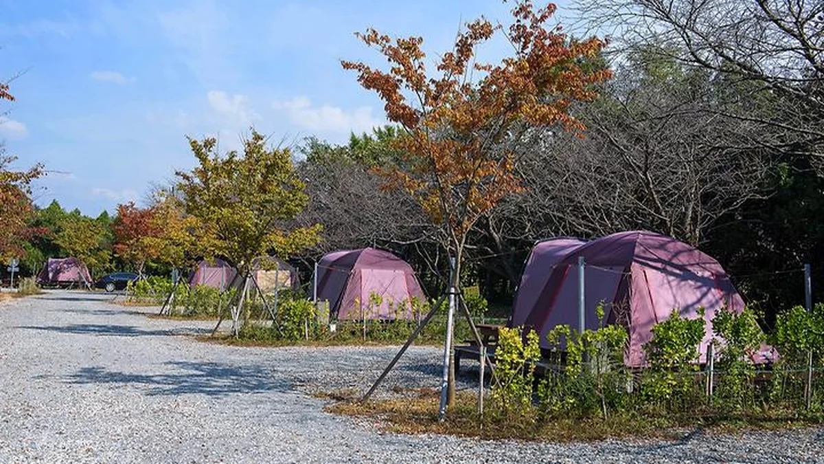 “10만㎡ 크기가 이렇게 넓다니!”… 자연 속 안락한 휴식의 명소