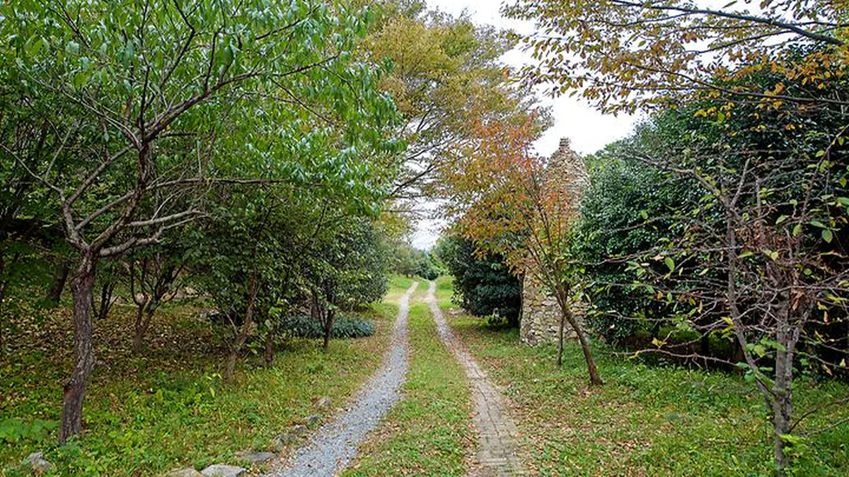 “새벽엔 안개가 이렇게 신비로운 거야?”… 곧 붉게 물드는 4km 숲길 여행지