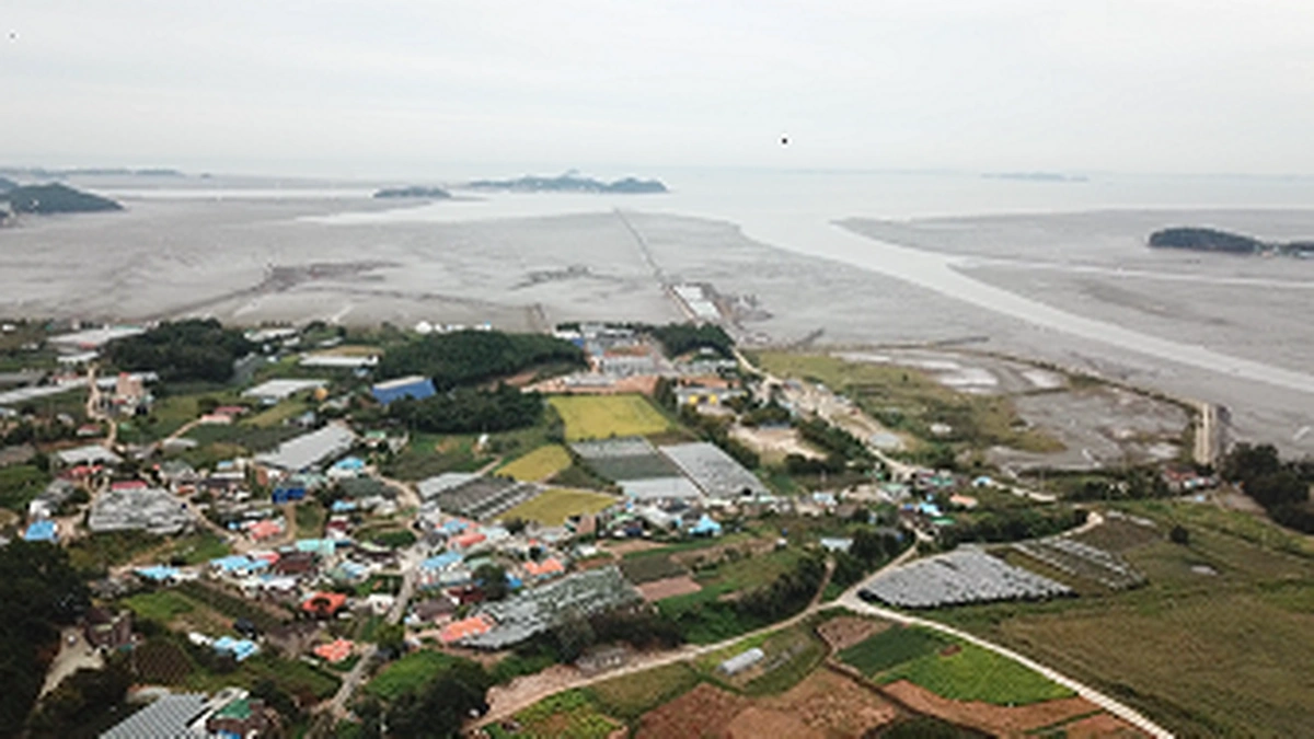“경기도 안산에서 20km 떨어진 곳에 이런 장소가?”… 가족 단위로 즐길 수 있는 자연 체험 여행지