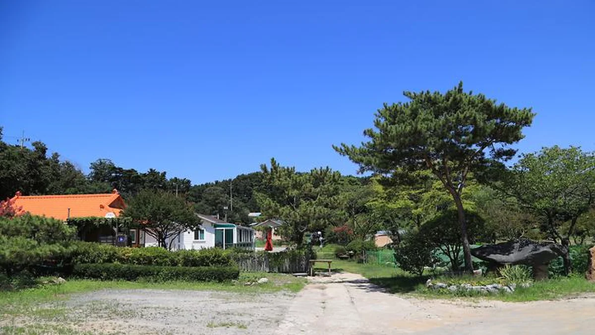 “약 20,000㎡ 자연 속 캠핑장이 이렇게 멋질 줄이야”… 바다와 숲이 어우러진 인천 영종도 명소