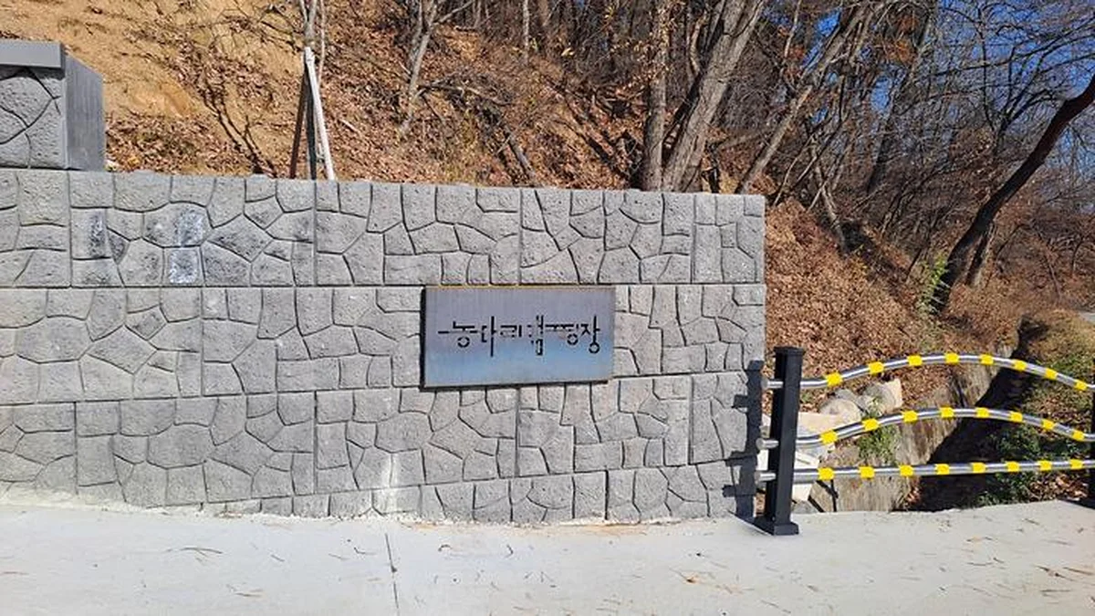 “5,000㎡가 진짜 자연과 하나되는 곳이라니”… 푸른 하늘 아래 낭만 캠핑 명소