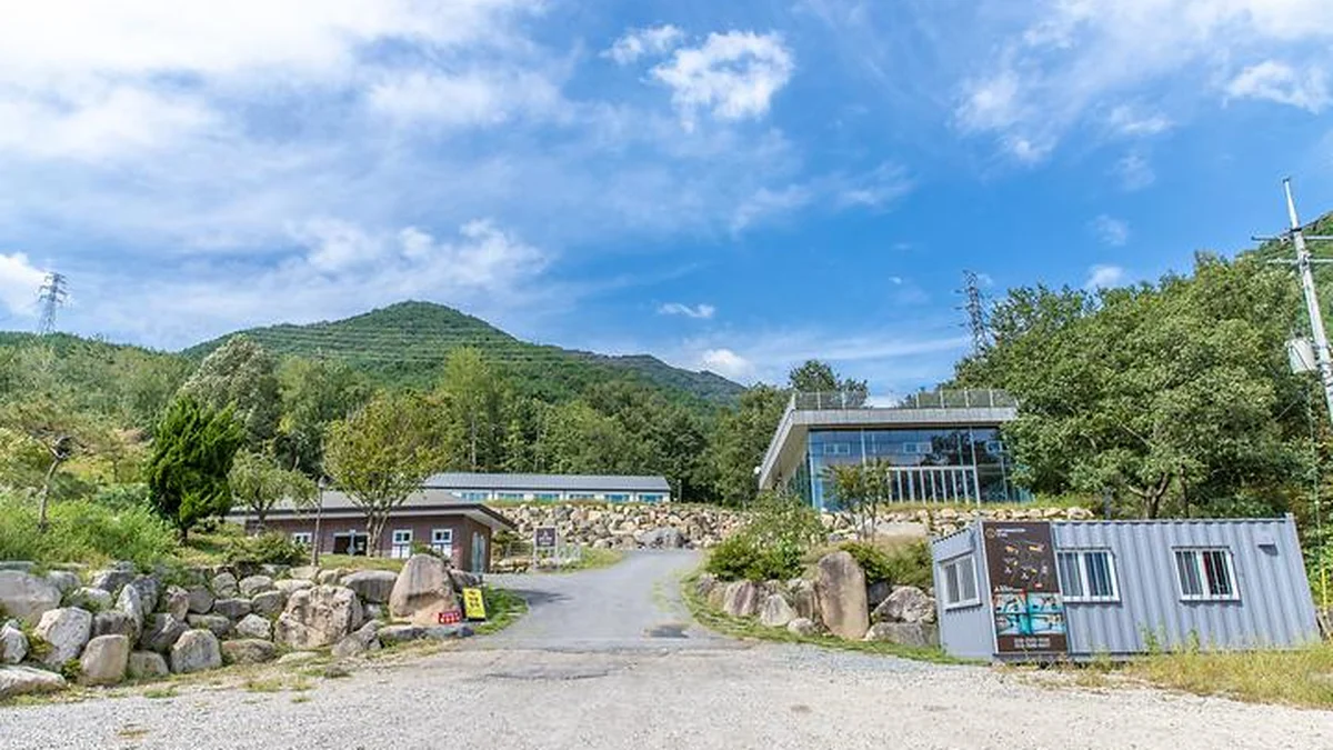 “광주의 자연이 이렇게 가까울 줄이야!”… 차로 40분, 피톤치드 가득한 힐링 명소