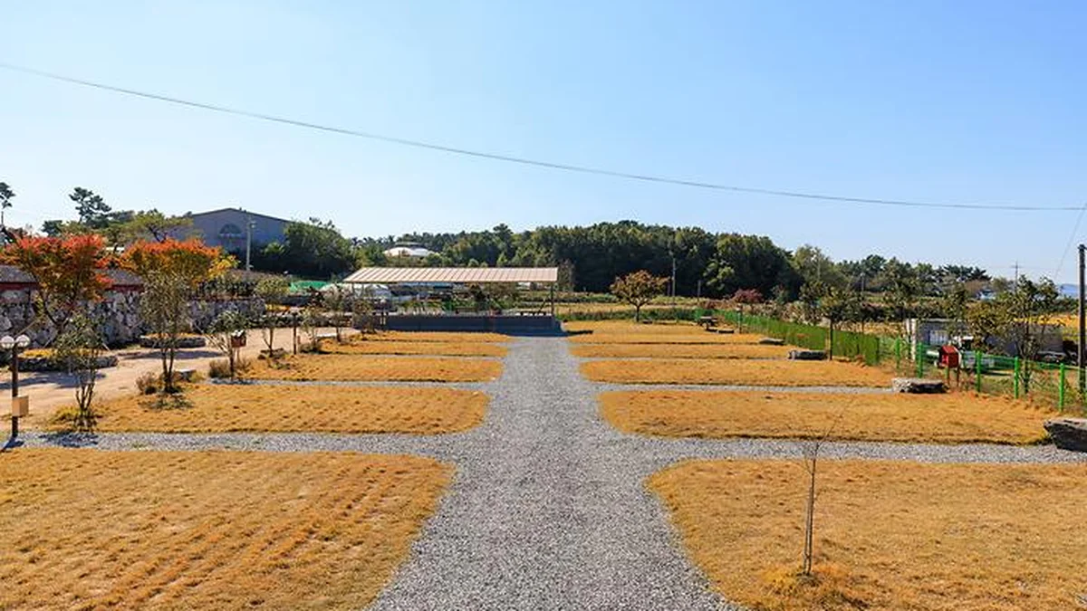 “서울에서 120km 거리인데 이런 자연!”… 2만 평 초록 숲 캠핑 명소