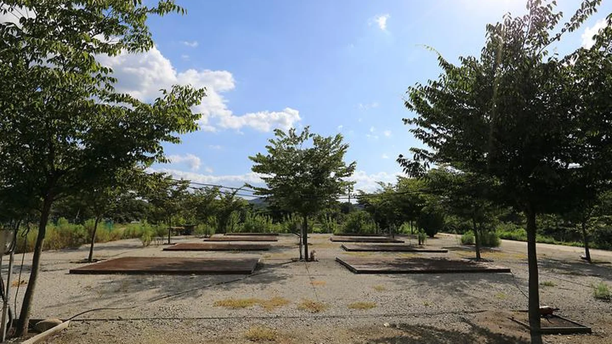 “30,000㎡ 캠핑장이 이렇게 평화롭다니”… 속리산 품은 자연 힐링 여행지