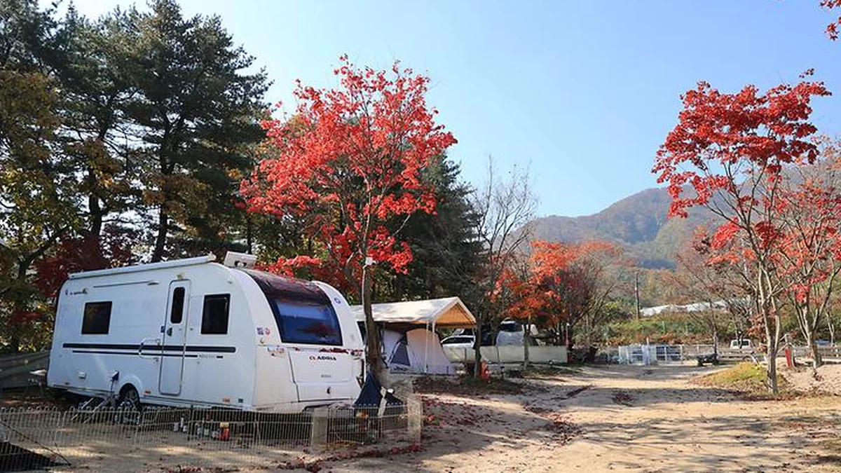 “가을에 딱! 10,000평 자연 속 캠핑장이라니…”… 도심 탈출하는 포천 명소